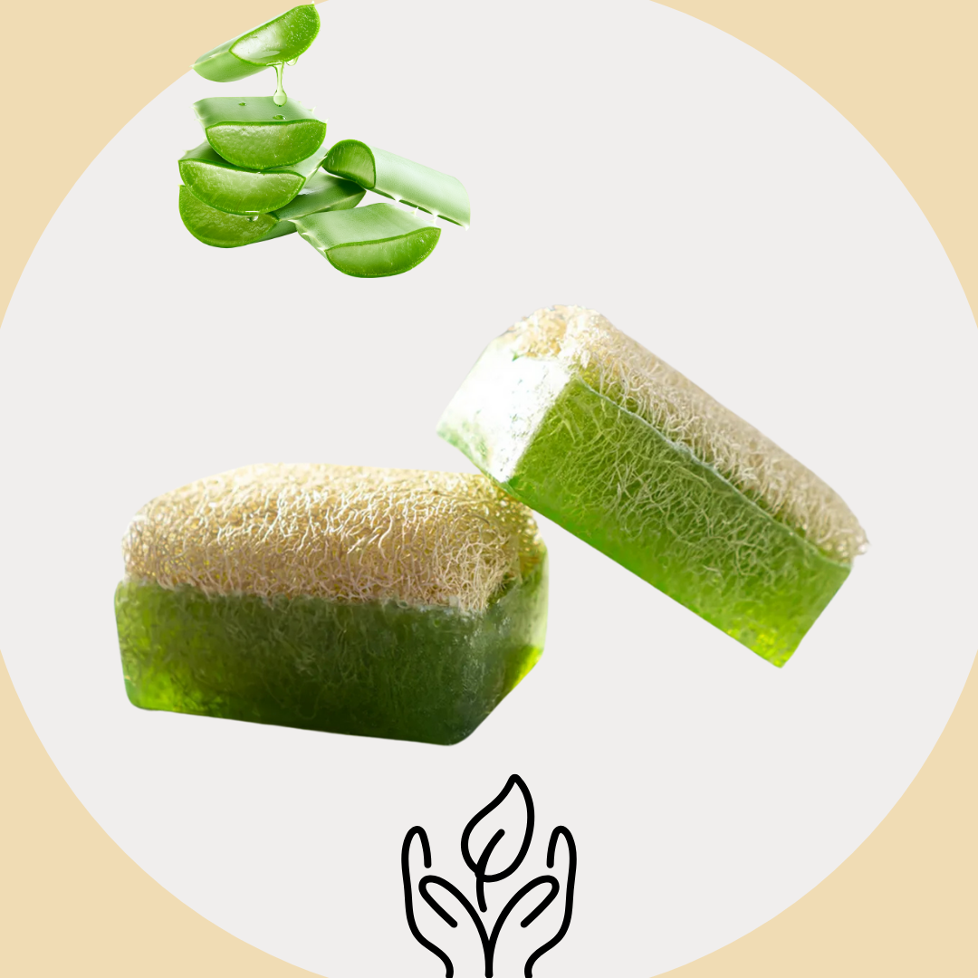 Biendush %100 El Yapımı Doğal Kabak Lifli Aloe Vera Sabun